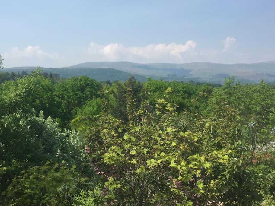 Stunning Views Of Ynyshir & Southern Snowdonia Machynlleth Exterior photo